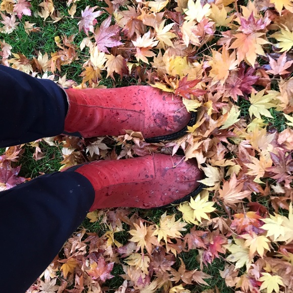 Meet your Posher, Rachel - Picture 1 of 4